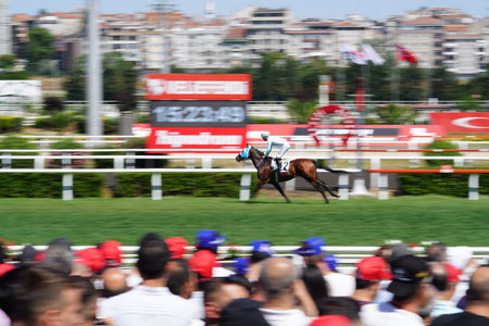 ISTANBUL, TURKIYE - JUNE 30, 2024: Horse race in Veliefendi Race Courseのeditorial素材