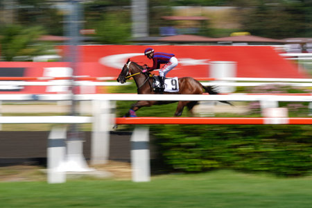 ISTANBUL, TURKIYE - JUNE 30, 2024: Horse race in Veliefendi Race Course