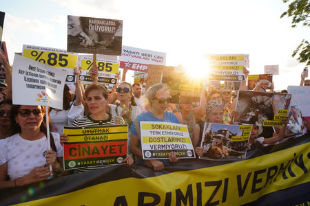 ISTANBUL, TURKIYE - AUGUST 10, 2024: Animal rights protest in Kadikoyのeditorial素材