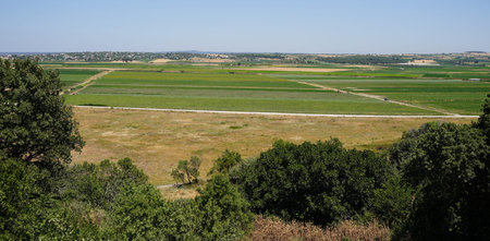 Agricultural field in Canakkale City, Turkiye