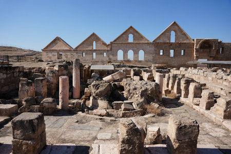 Ruins of Harran Ulu Mosque and University in Sanliurfa City, Turkiye
