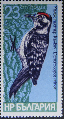 ISTANBUL, TURKEY - APRIL 17, 2021: Bulgarian stamp shows Lesser spotted circa 1978のeditorial素材