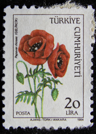 ISTANBUL, TURKEY - DECEMBER 27, 2020: Turkish stamp shows Red poppy circa 1984のeditorial素材