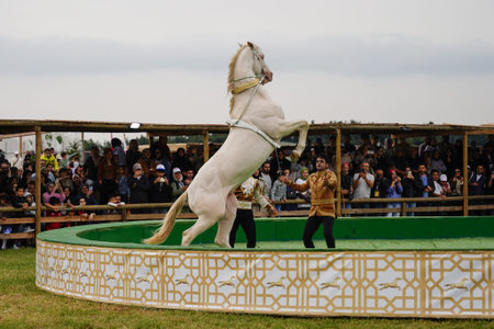 ISTANBUL, TURKIYE - MAY 25, 2025: Riding show during Etnospor Culture Festivalのeditorial素材