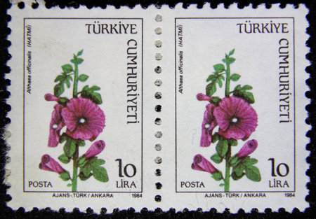 ISTANBUL, TURKEY - DECEMBER 27, 2020: Turkish stamp shows Marshmallow flower circa 1984