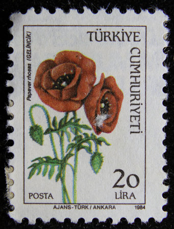 ISTANBUL, TURKEY - DECEMBER 27, 2020: Turkish stamp shows Red poppy circa 1984