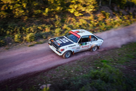 ISTANBUL, TURKIYE - NOVEMBER 15, 2025: Rally car race in Istanbul Rally