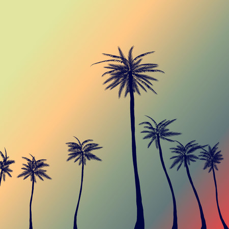 Pam trees in the sunsetのイラスト素材