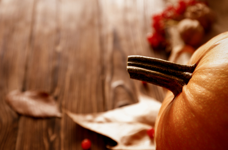 Thanksgiving background concept.の写真素材