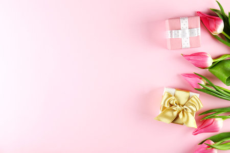 Fresh flower composition, bouquet of bi color tulips, pale pink and white gradient background....