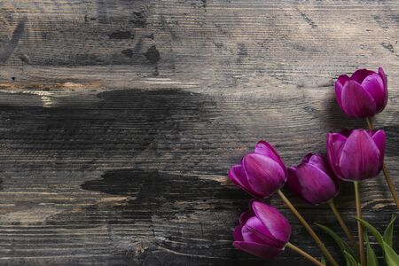 Bunch of spring flowers on textured table background with a lot of copy space for text. Top view, close up, flat lay composition.の写真素材