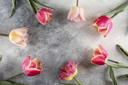 Bunch of spring flowers on textured table background with a lot of copy space for text. Top view, close up, flat lay composition.の写真素材