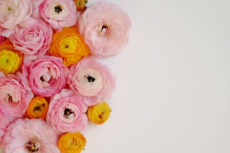 Macro shot of beautiful bouquet of pink, yellow & orange ranunculus flowers with visible petal texture . Close up composition with bright patterns of flower buds. Top view, isolated, copy space.の写真素材