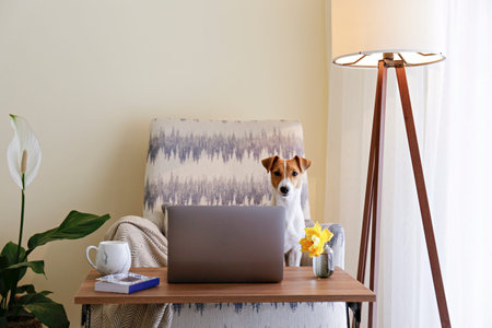 Home office concept. Designated work from home area in living room. Modern laptop and cup of hot...