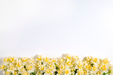 Lush bouquet of white-yellow daffodils isolated on white background. Tender minimalistic spring flowers composition. Top view, copy space for text, flat lay, close up.の写真素材
