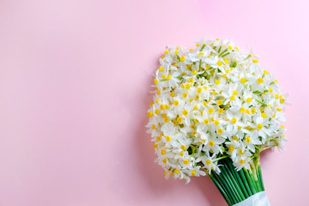 Lush bouquet of white-yellow daffodils isolated on pink background. Tender minimalistic spring flowers composition. Top view, copy space for text, flat lay, close up.の写真素材