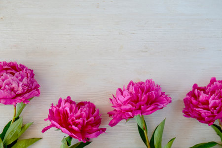 Studio shot of beautiful peony flowers over wood textured tabletop background with a lot of copy space for text. Feminine floral composition. Close up, top view, backdrop, flat lay.の写真素材