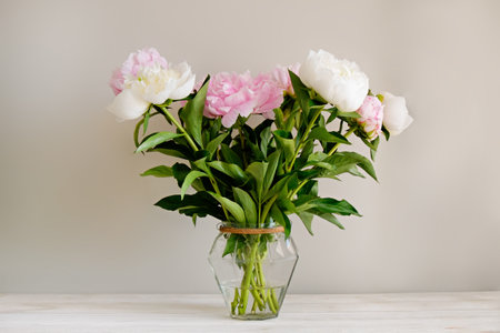 Studio shot of beautiful peony flowers in glass vase on a table over gray wall background with a lot of copy space for text. Feminine floral composition. Close up, backdrop.の写真素材