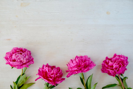 Studio shot of beautiful peony flowers over wood textured tabletop background with a lot of copy space for text. Feminine floral composition. Close up, top view, backdrop, flat lay.の写真素材