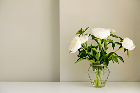 Studio shot of beautiful peony flowers in glass vase on a table over gray wall background with a lot...