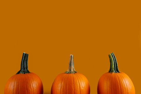 Close up shot of three classic orange pumpkin isolated on bright background as a symbol of autumnal...