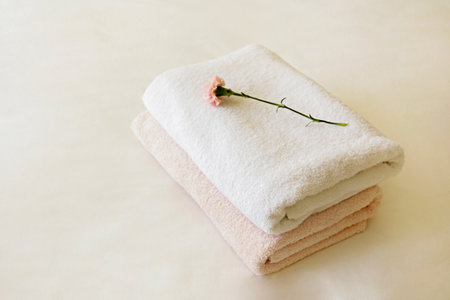 Hotel room with freshly made bed, perfectly clean and ironed sheets, stack of new folded towels and single flower as decoration in natural sun light. Close up, copy space for text.の写真素材