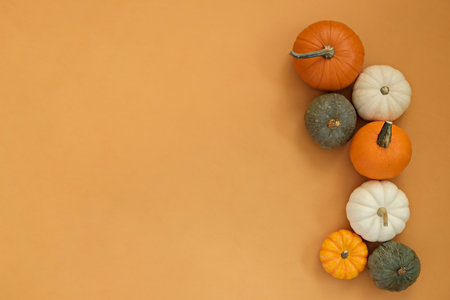 Bunch of classic orange, hooligan and baby boo pumpkins isolated on bright background as a symbol of autumnal holidays with a lot of copy space for text. Close up.の写真素材