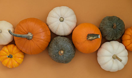 Bunch of classic orange, hooligan and baby boo pumpkins isolated on bright background as a symbol of autumnal holidays with a lot of copy space for text. Close up.の写真素材