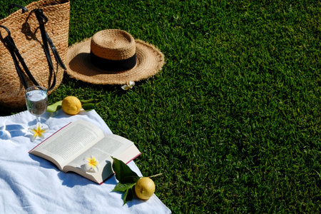 Lunch break in the park. Picnic blanket with an open book, lemons, beach bag and broad brim straw hat on a juicy green freshly freshly mowed lawn. Close up, copy space, top view, background.の写真素材
