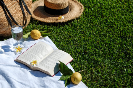 Lunch break in the park. Picnic blanket with an open book, lemons, beach bag and broad brim straw hat on a juicy green freshly freshly mowed lawn. Close up, copy space, top view, background.の写真素材