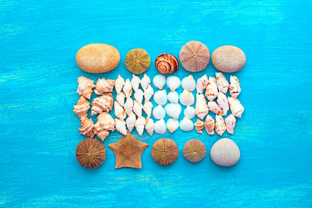 Set sea shell decorative frame place for text. Flat view