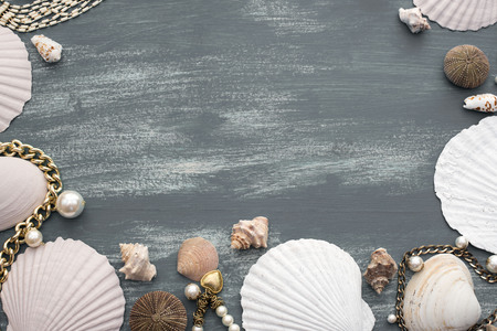 Set sea shell decorative frame place for text. Women's jewelry fashion jewelryの写真素材
