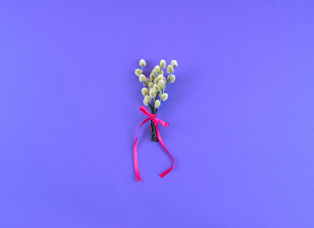 Bouquet of catkins branches on the background of ultraviolet The view from the top Place for text.