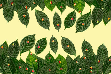 Natural tinted background ornament with green leaves. Decorative glass stones and rhinestones....