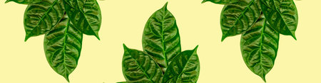 Banner Poster natural background pattern of green leaves on a yellow toned background. Flat lay top...
