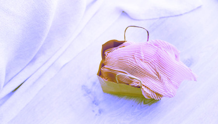 Banner Surrealism A set of women's Fashion accessories shopping Jewelry Scarf. Wooden background with place for textの写真素材