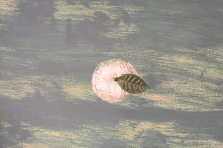 One Apple on a blue shabby background in a foil wrapped green leaf. The view from the topの写真素材