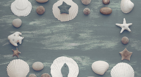 Banner Natural wooden retro sea shell stone background. Decorative composition flat layの写真素材
