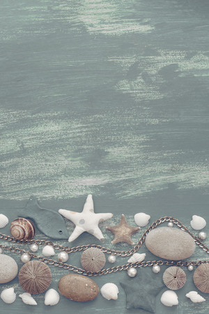 Natural wooden retro sea shell stone background. Decorative composition flat layの写真素材