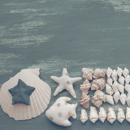 Natural wooden retro sea shell stone background. Decorative composition flat lay