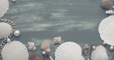 Banner Natural wooden retro sea shell stone background. Decorative composition flat layの写真素材