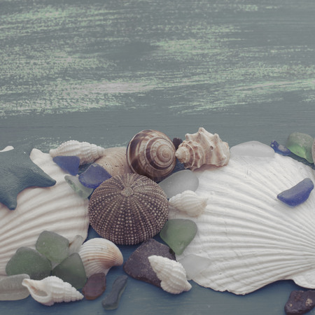 composition of a set of shells stones pebbles star hedgehog wooden background old gray worn copy space. Top view flat layの写真素材