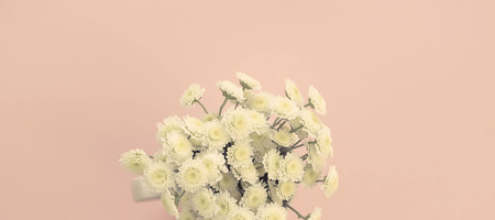Bouquet of chrysanthemums on a pink background. Top view copy space flat layの写真素材