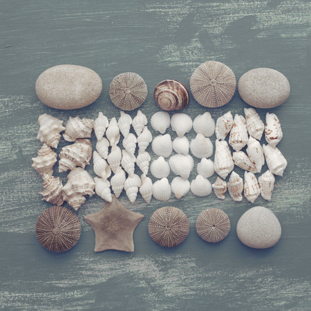 composition of a set of shells stones pebbles star hedgehog wooden background old gray worn copy space. Top view flat layの写真素材