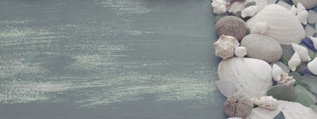 composition of a set of shells stones pebbles star hedgehog wooden background old gray worn copy space. Top view flat layの写真素材