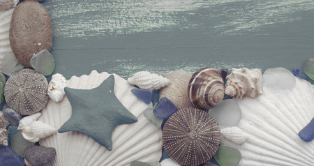 composition of a set of shells stones pebbles star hedgehog wooden background old gray worn copy space. Top view flat layの写真素材