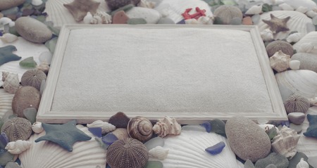 Banner Natural wooden retro sea shell stone background. Decorative composition flat layの写真素材