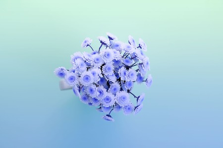 Banner Surrealism bouquet of chrysanthemums on a light background. Top view copy space flat layの写真素材