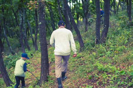 A man and a boy collect mushrooms in the forest. Wildlife active recreation tourismの写真素材