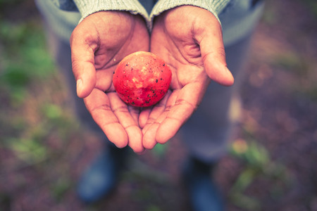 Male hands holding a red mushroom. Top view selective focus toningの写真素材